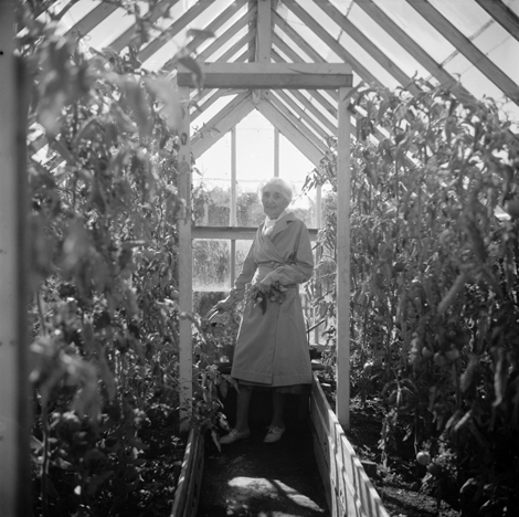 470_aino_sibelius_levas